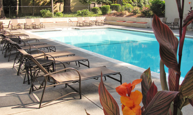 frank-estate-pool.jpg