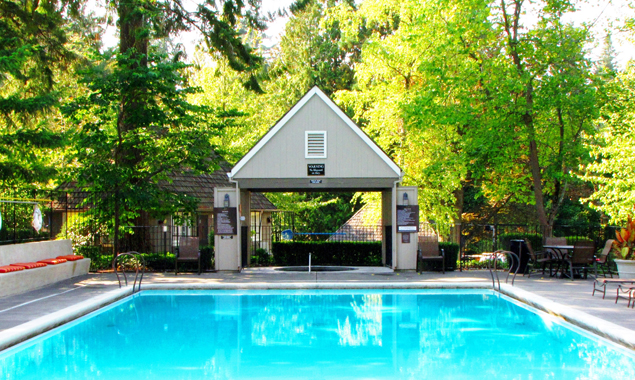 pool-at-frank-estate.jpg